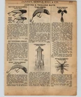 1934 Paper Ad South Bend Better Bass Oreno Teas Bug Baby Lunge Crab Fishing Lure Used. Price: $7.99.